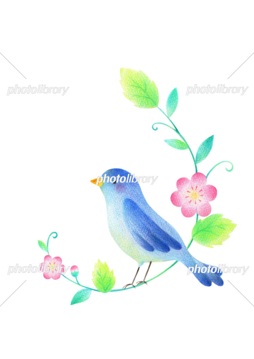 青い鳥 イラスト 簡単 (334 無料写真)